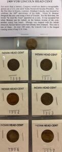 1901 VDB Lincoln Head Cent And (6) 1899-1907 Indian Head Cents