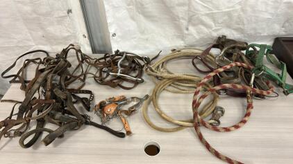 Vintage Horse Bridles, Halters And Spurs