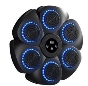 RICAN Music Boxing Machine 2025 Upgrade with Boxing Gloves for Adults and Kids, 12 Modes & Speeds Bluetooth Music Punching Machine with Colorful Lights for Home Office Fitness, Black