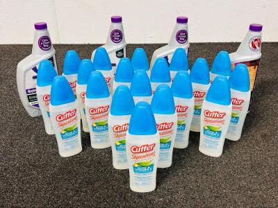 Cleaning And Outdoor Essentials Includes: Floor Cleaners/ Protectors and Mosquito Repellents