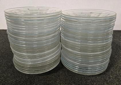 (56) Small Clear Plates