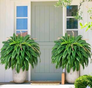 MARTINE MALL 2Pcs 48''/128 Leaves Artificial Ferns for Outdoors Look Real Fake Ferns, Large Faux Boston Ferns for Outdoor Planter Realistic UV Resistant Artificial Fake Plants for Porch Patio Hanging