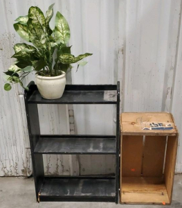 Black Book Self With Wooden Crate And Fake Plant