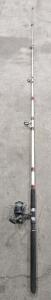 Shakespeare Alpha 10' Bigwater BWS 1310-2M Fishing Rod & Shimano FX-B 500 Reel