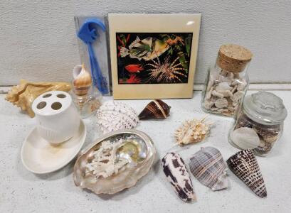 Assorted Seashells And Ocean Themed Decor