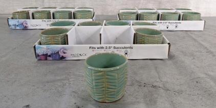 (23) 3" Ceramic Succulent Pots