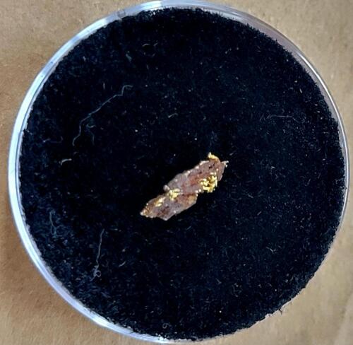 (1) Individual Gold Sample