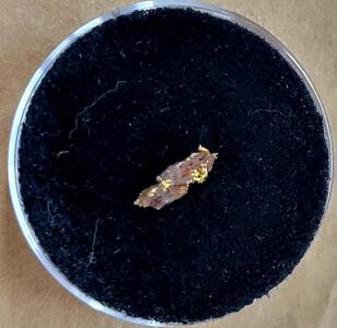 (1) Individual Gold Sample