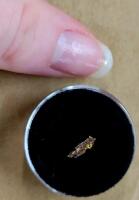 (1) Individual Gold Sample - 2