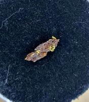 (1) Individual Gold Sample - 3