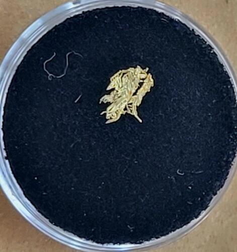 (1) Individual Gold Sample