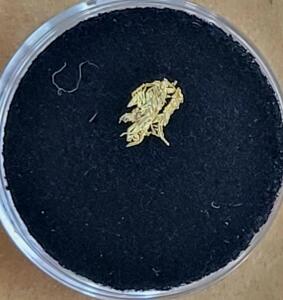 (1) Individual Gold Sample
