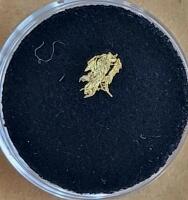 (1) Individual Gold Sample