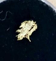 (1) Individual Gold Sample - 3