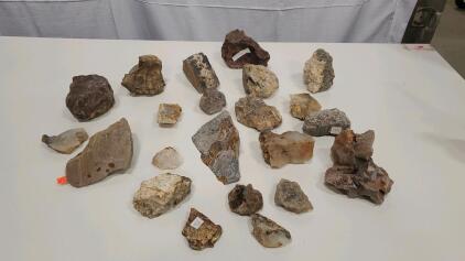 Assorted Rock Collection