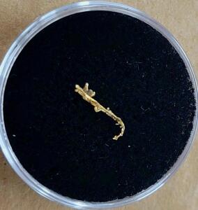 (1) Individual Gold Sample