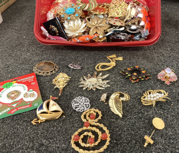 Broches & Pins