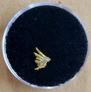 (1) Individual Gold Sample