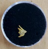 (1) Individual Gold Sample