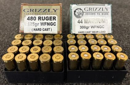 480 Ruger And 43 Magnum Ammunition