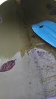 Liquidlogic Remix XP 9 Sit-In Kayak, Green, Paddle Included - 9