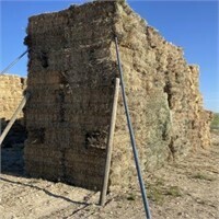 ICC Fields (1200) Bales Grass Hay- Located South of Boise