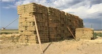 East Fields (232) Bales Grass Hay- Located South of Boise