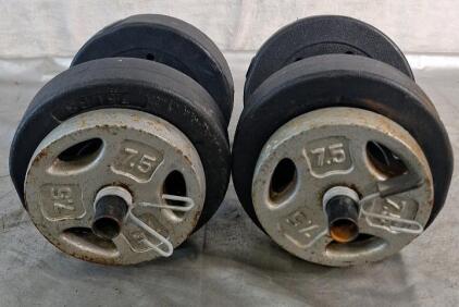 (1) Pair Of 30LB Dumbells