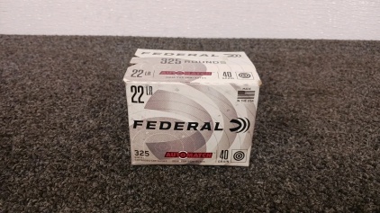 (325) rnds of Federal .22 LR Ammo