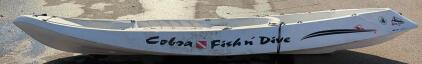 Cobra Fish 'n Dive Sit-On-Top 12FT Fishing Kayak, Multiple Storage Hatches