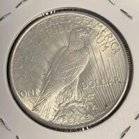 1925 Liberty Peace Silver Dollar Coin - 2
