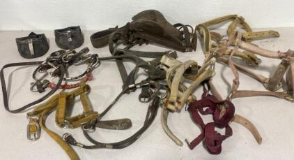 Horse Bridals and Easy Boots
