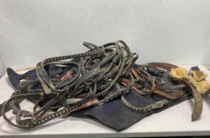 Leather Horse Equipment