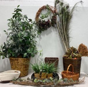 Fake Plants and Real Baskets - Peacock Feathers