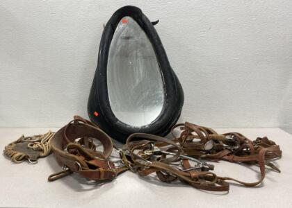 Horse Collar Mirror and Horse Tack