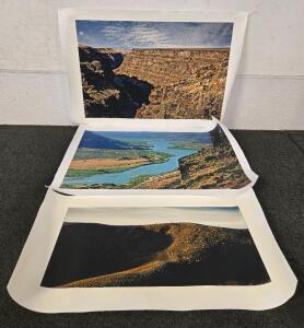 (3) Large Canvas Prints