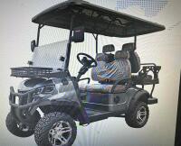 New IR SDLG80 Electric Golf Cart In Original Packaging - 4