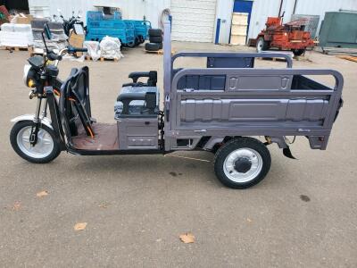 Iranch Three Wheel Electric Scooter