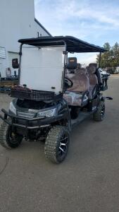 SDLANCH SDLGC100 Electric Golf Carts 6 Seats