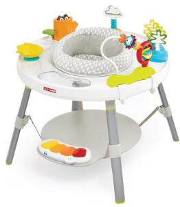 Skip Hop Baby Activity Center