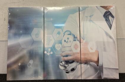 3 Piece Medical Canvases