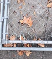 Large Chain Link Dog Run Galvanized Steel, 4'x6', 2" Mesh Size - 19