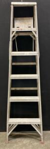 6ft Werner Saf-t-Master Ladder