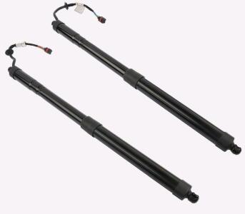 ApplianPar Rear Hatch Struts