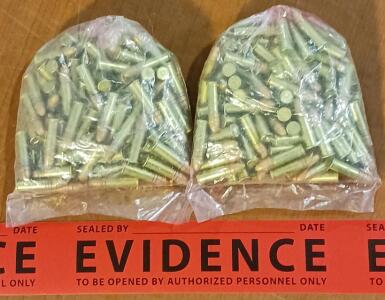 .22 Caliber Ammunition (Approx. 200 Rounds)