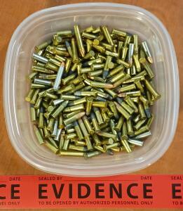 Assorted Loose .22 Caliber Ammunition (Approx. 200 Rounds)