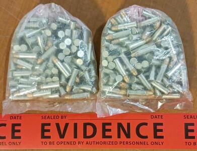 .22 Caliber Ammunition (Approx. 200 Rounds)