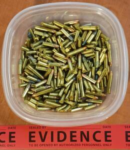Assorted Loose .22 Caliber Ammunition (Approx. 200 Rounds)