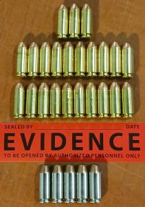 Assorted 10mm Ammunition (28 Rounds)