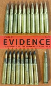 Assorted .30-06 Caliber Ammunition (19 Rounds)